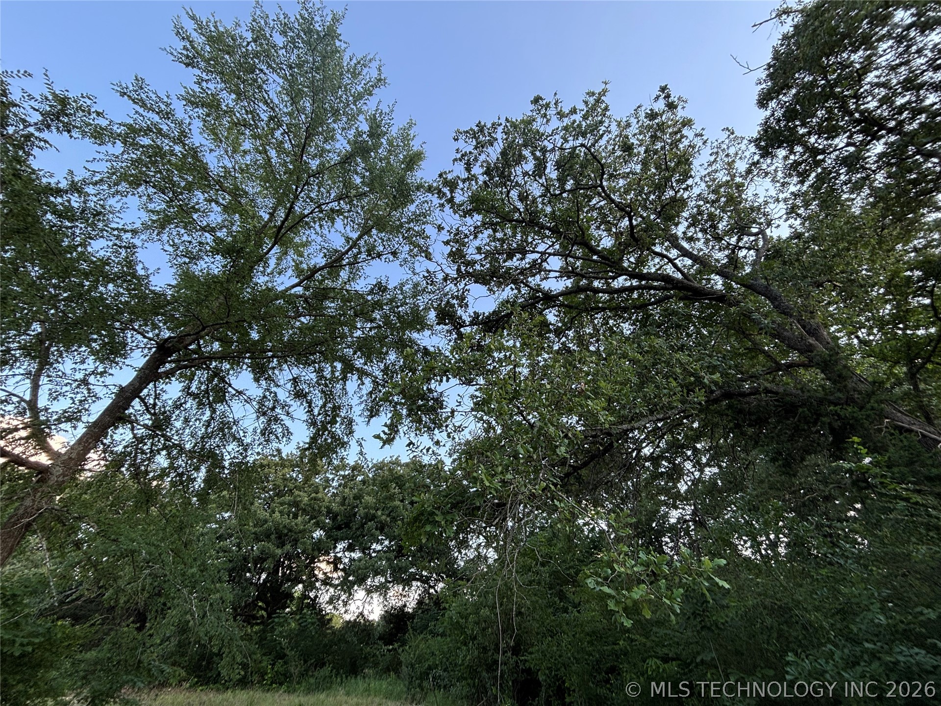 484 South Eighth Colbert OK 74733
