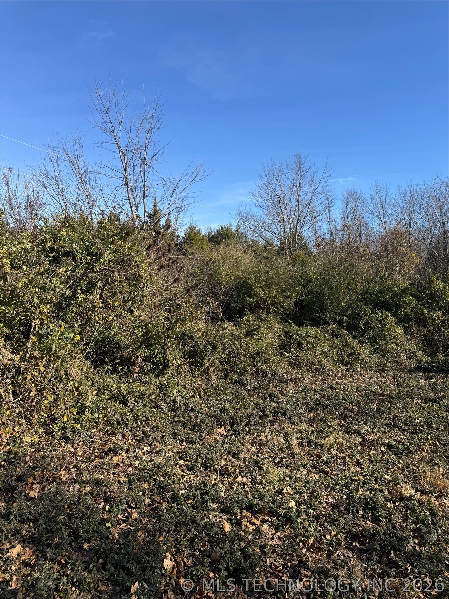 908 W Osage Jay OK 74346