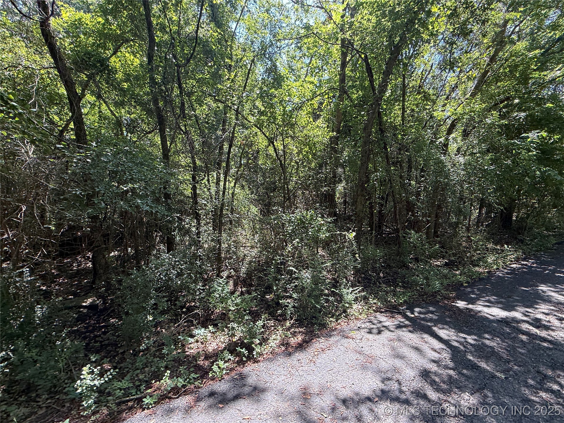 Blairwood Drive Wagoner OK 74477