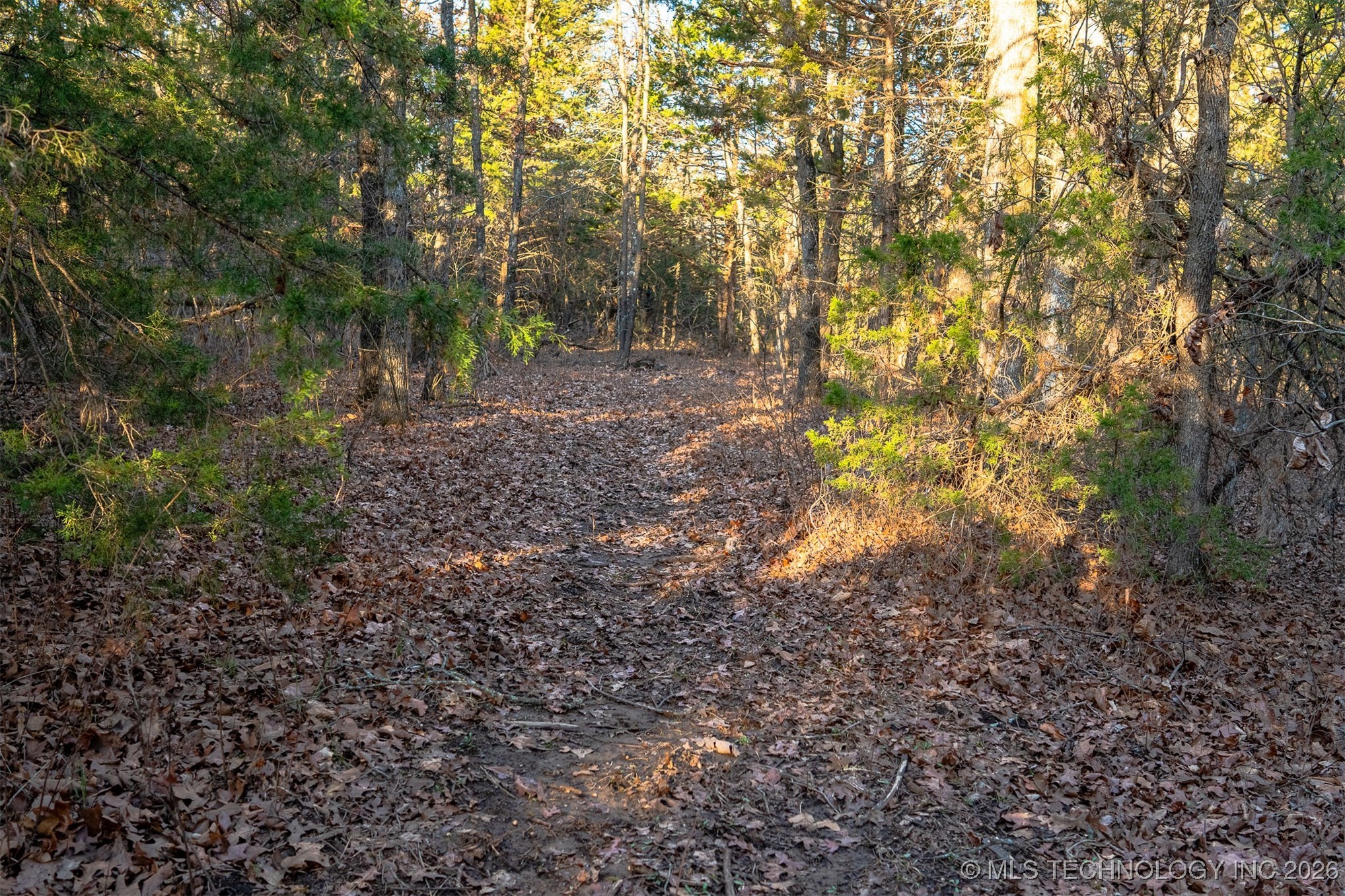 1 S Highway 99 Jennings OK 74038