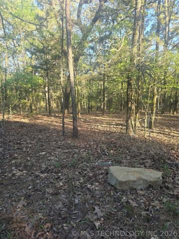 43 Buck Creek Moyers OK 74523