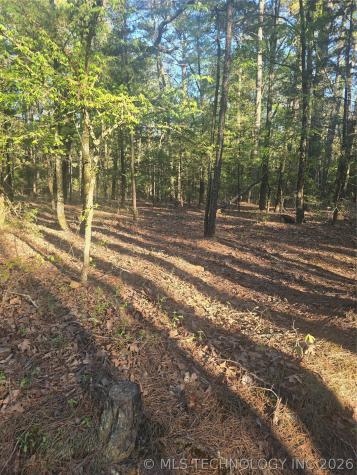 43 Buck Creek Moyers OK 74523