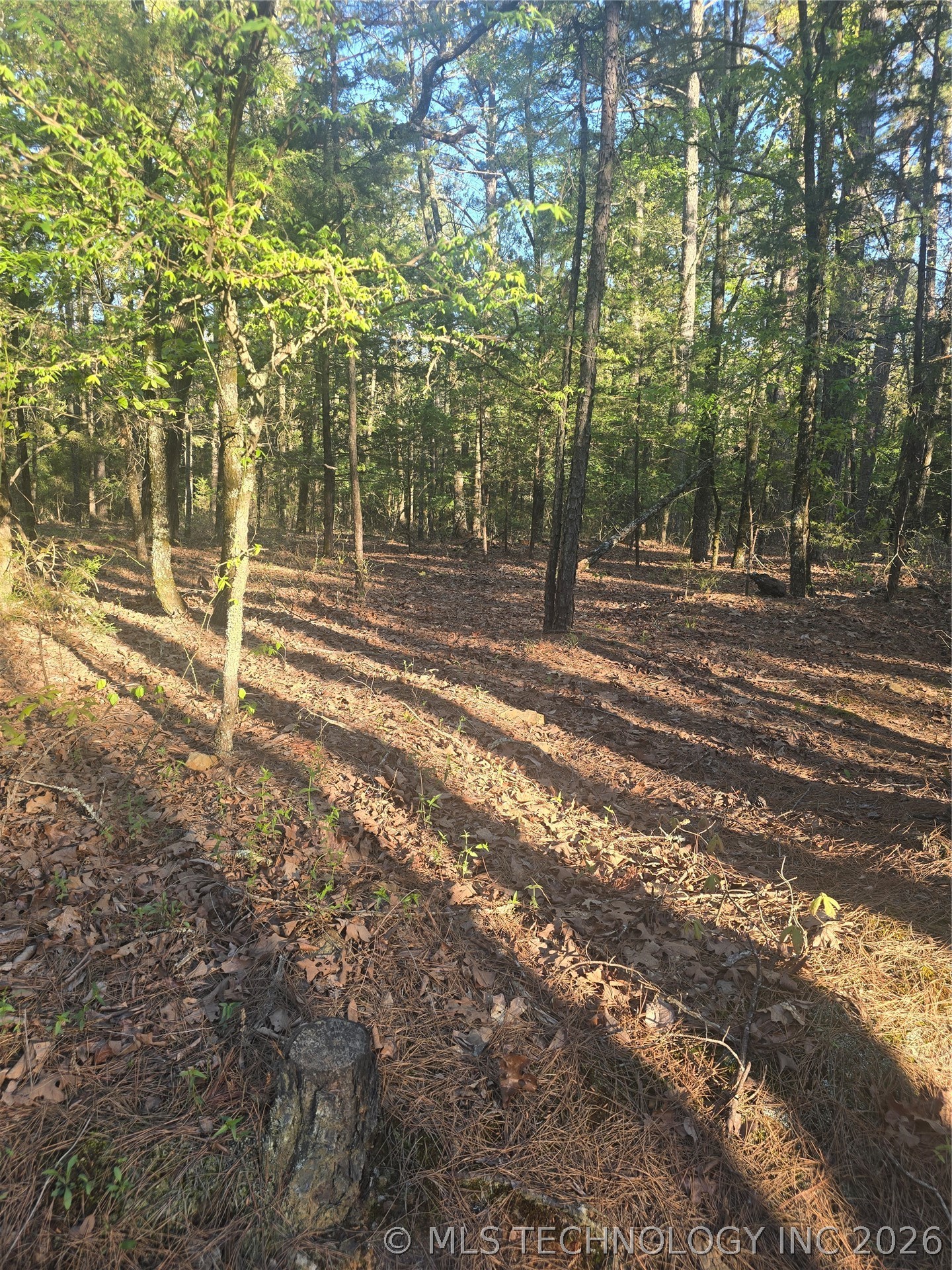 43 Buck Creek Moyers OK 74523
