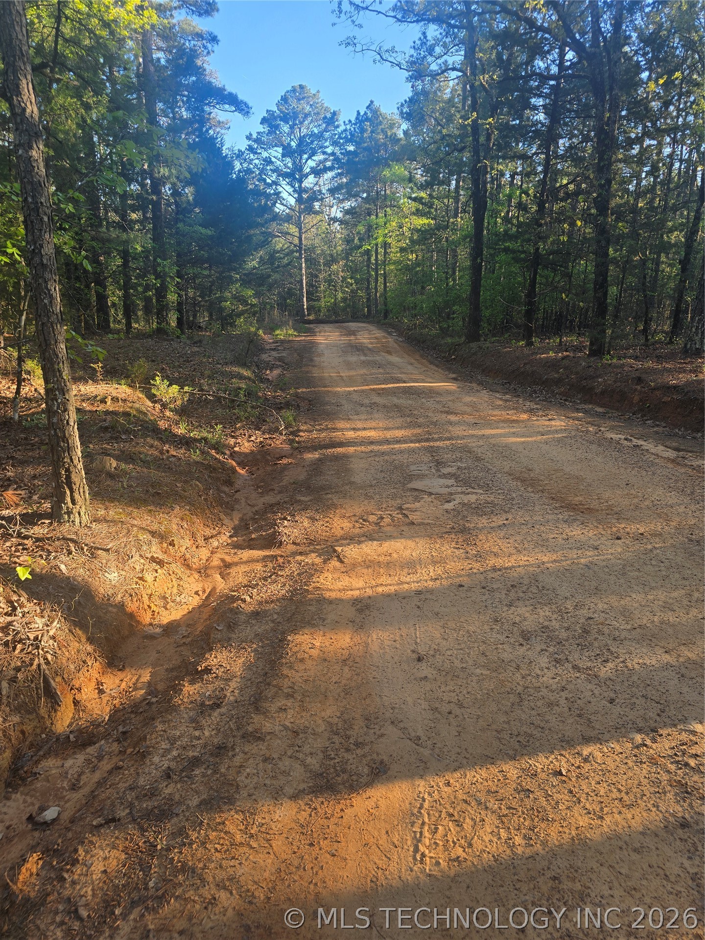 43 Buck Creek Moyers OK 74523