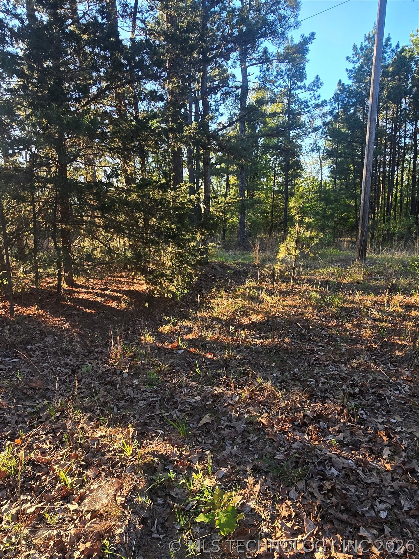 43 Buck Creek Moyers OK 74523