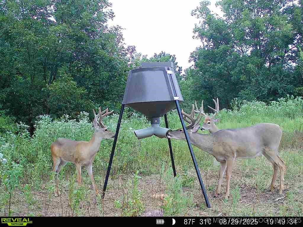 11 SE Lenapah Street Skiatook OK 74070