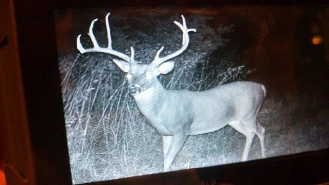 725 S Okmulgee Street Wetumka OK 74883