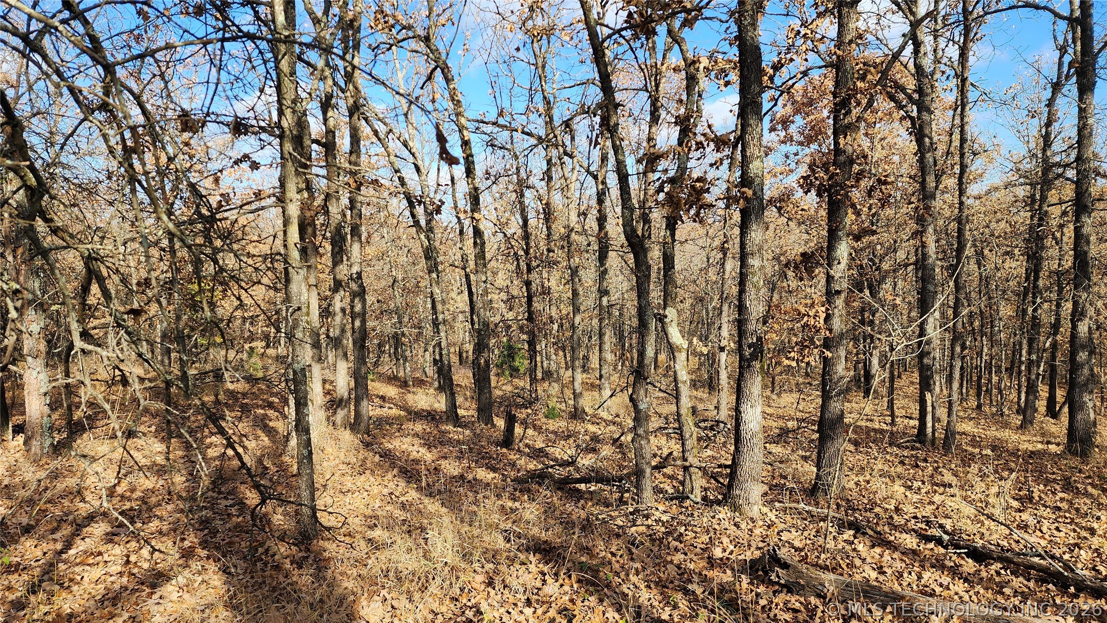 427640 E 290 Road Chelsea OK 74016
