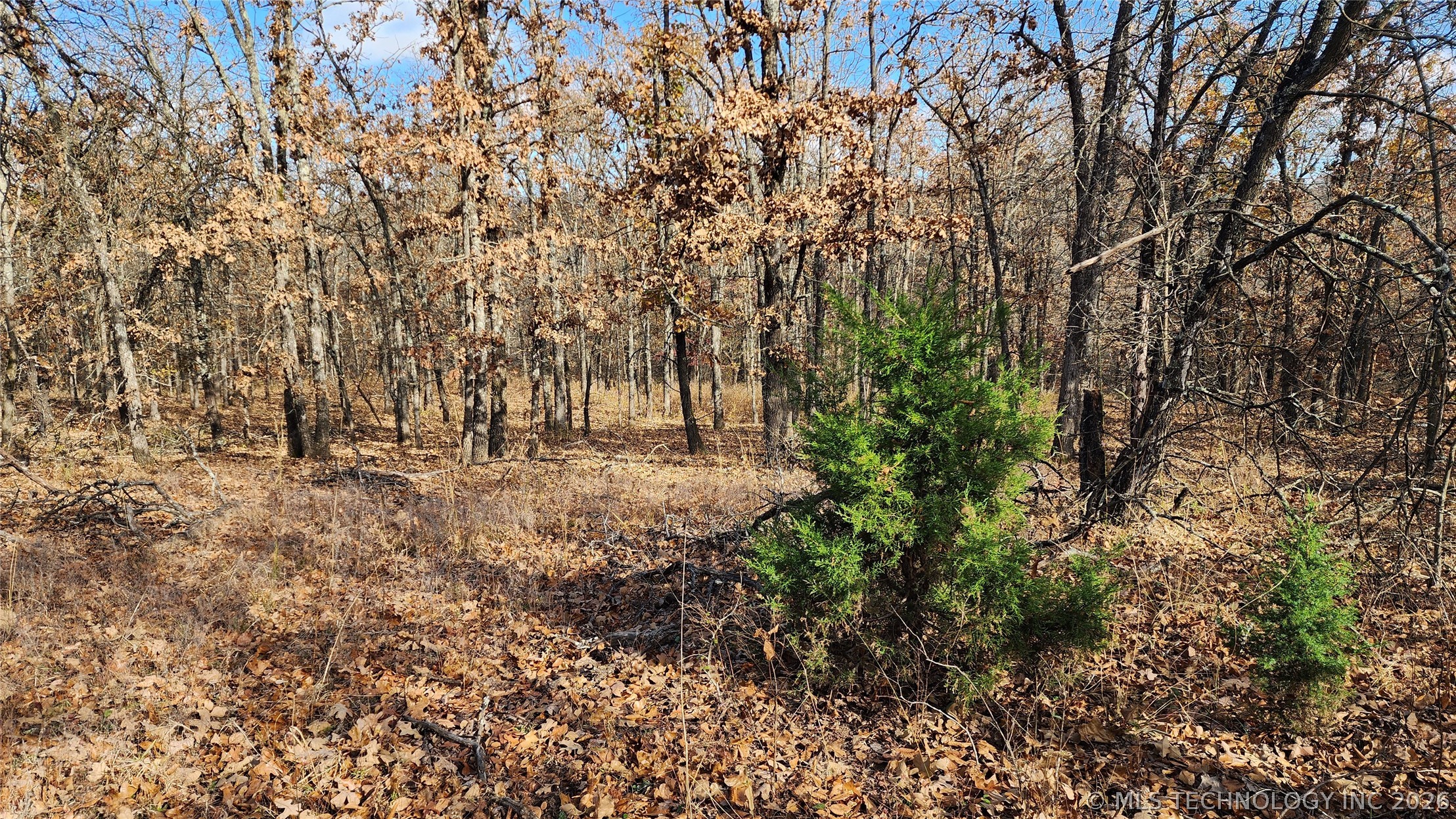 427640 E 290 Road Chelsea OK 74016