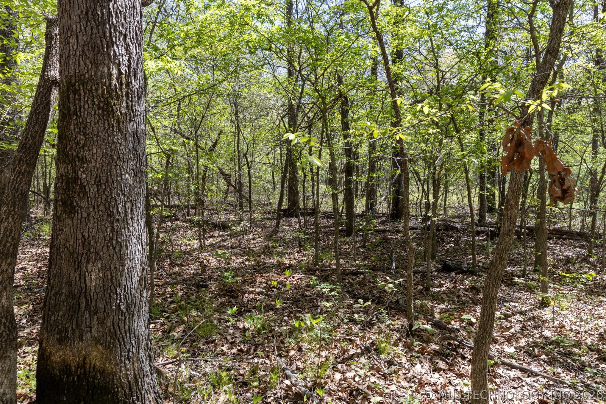 2 E 1180 Road Okemah OK 74859