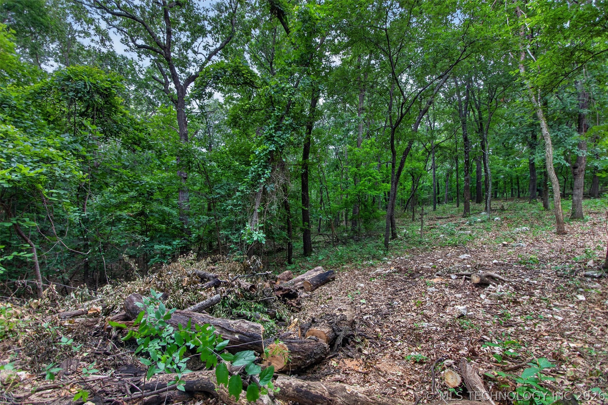E 563 Road Locust Grove OK 74352