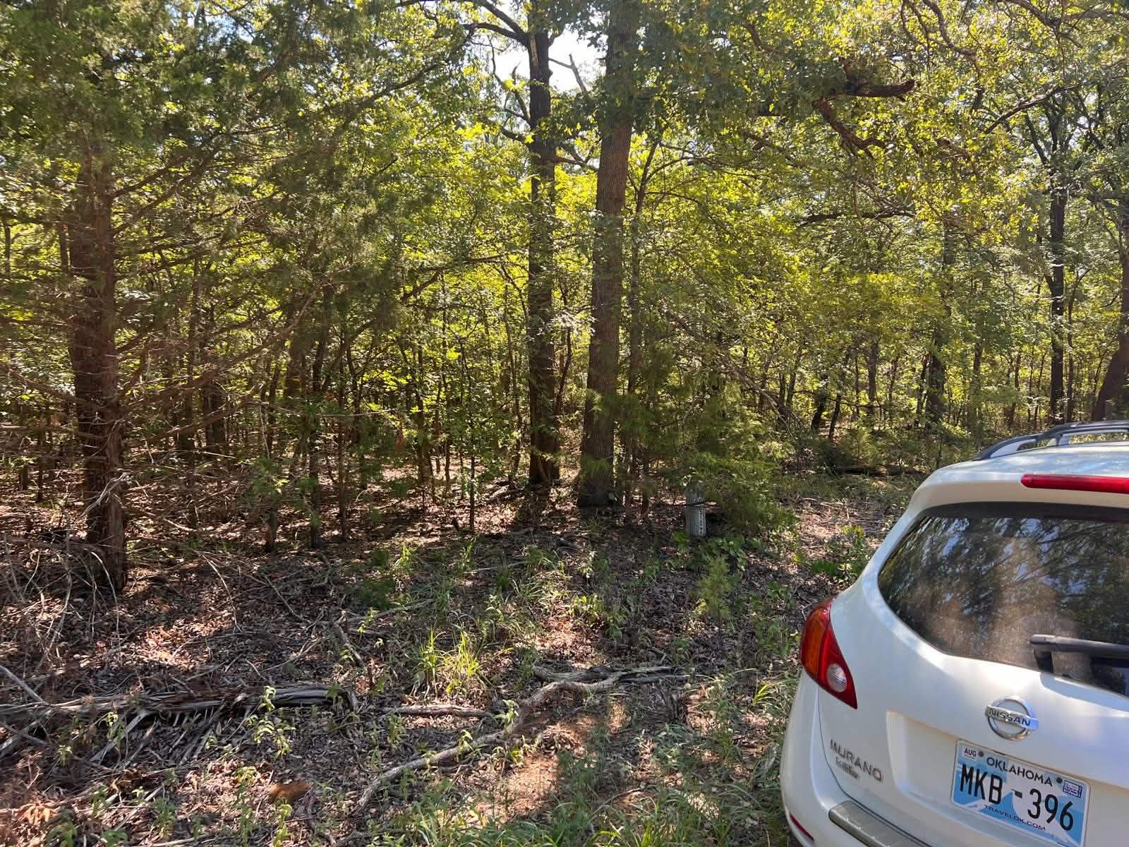 000 Dogwood Lane Mead OK 73449