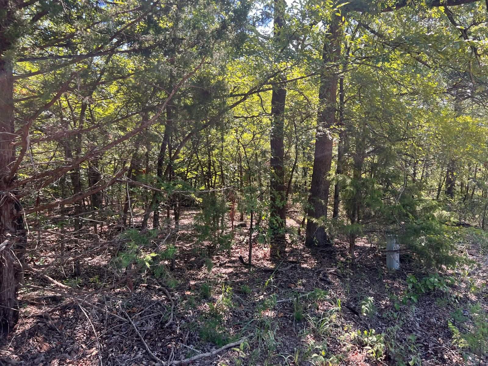 000 Dogwood Lane Mead OK 73449