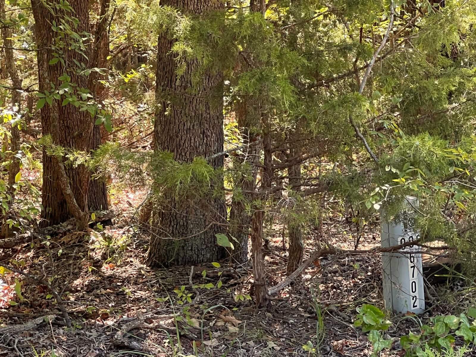 000 Dogwood Lane Mead OK 73449