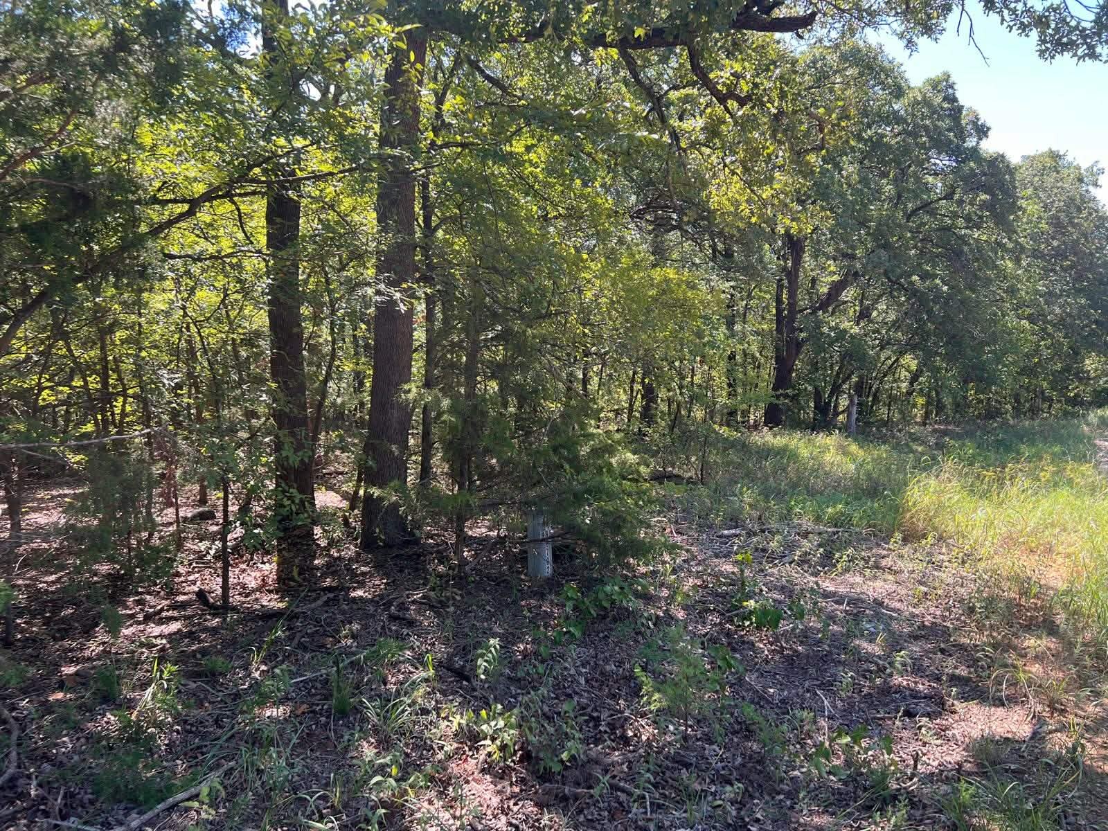 000 Dogwood Lane Mead OK 73449