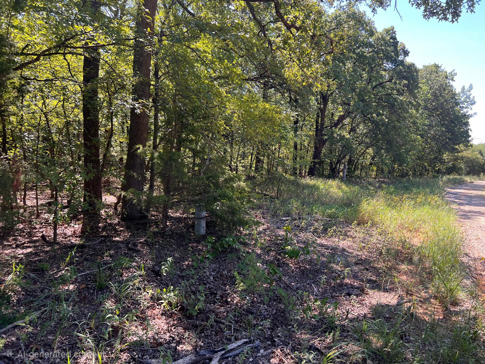 000 Dogwood Lane Mead OK 73449