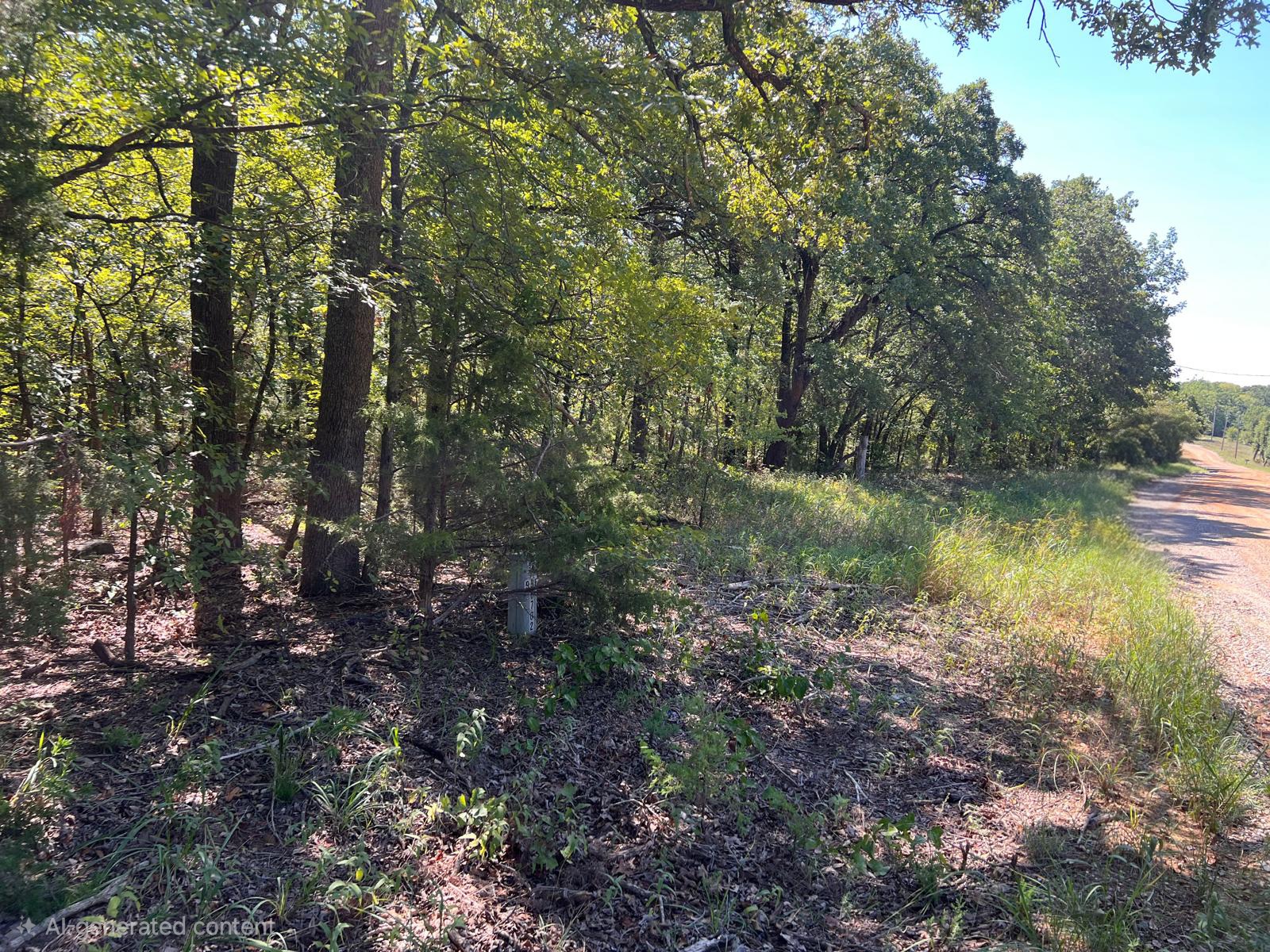 000 Dogwood Lane Mead OK 73449