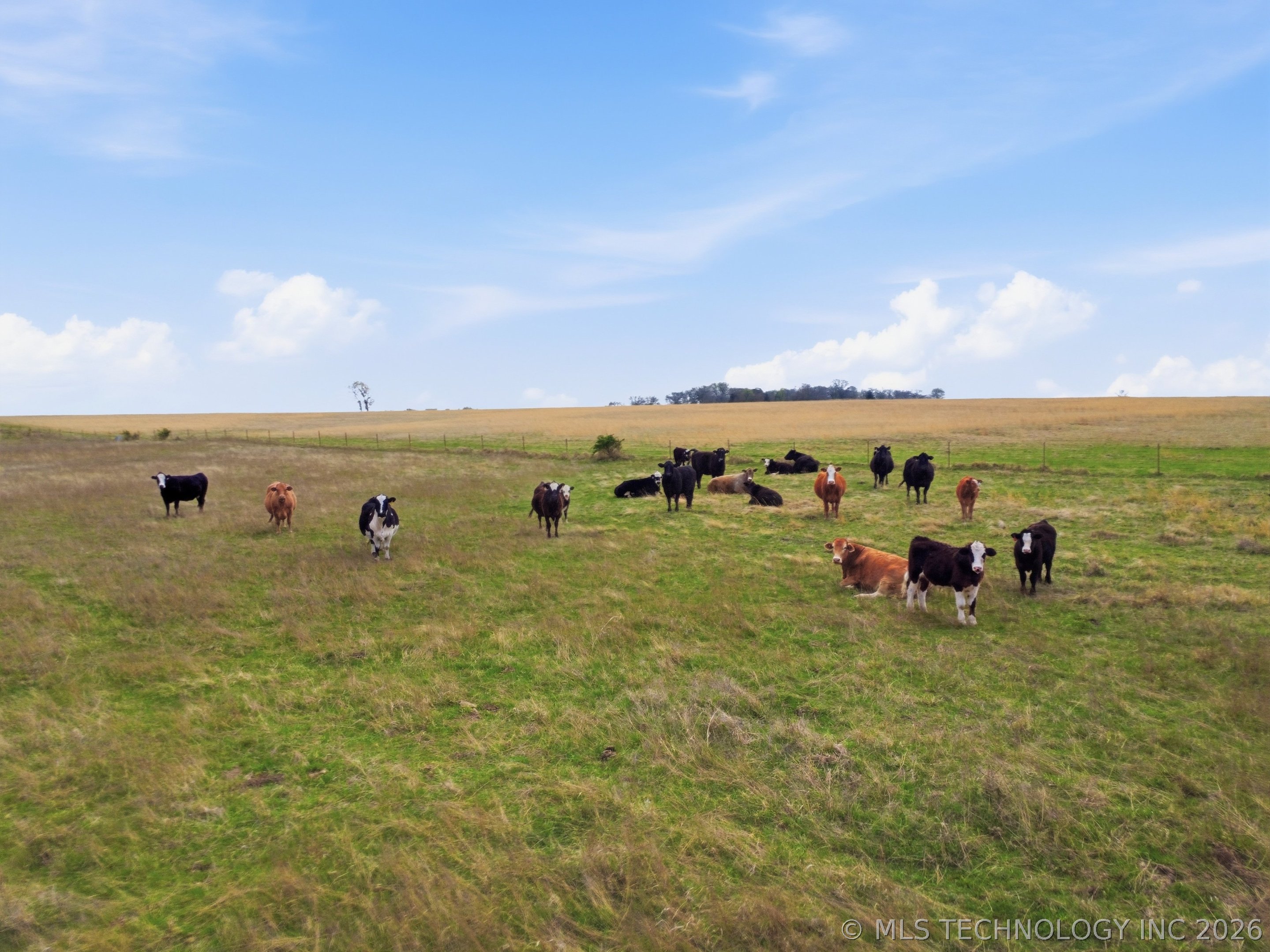 406 Road Wann OK 74083