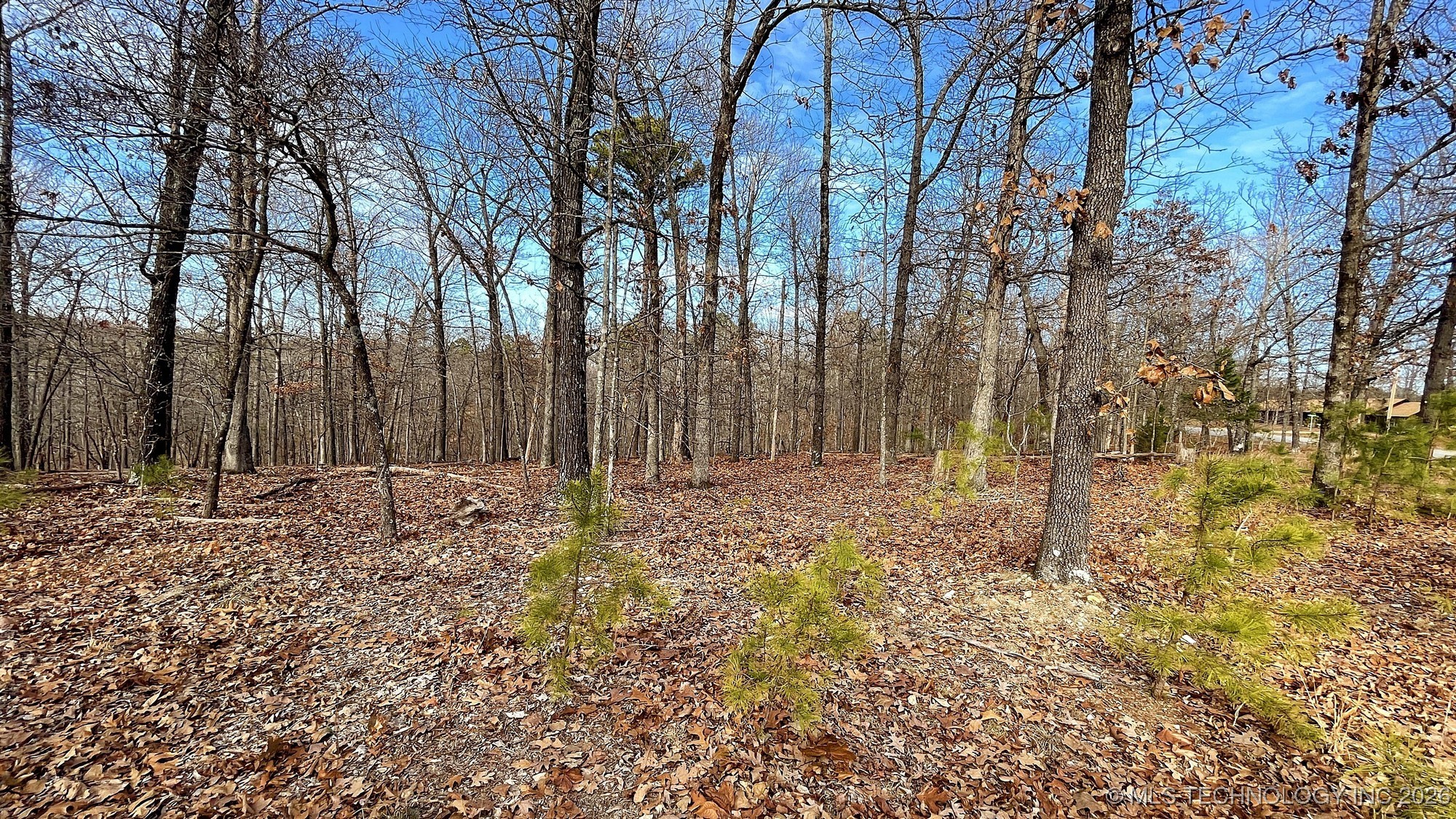 2145 Deer Lake Drive Kansas OK 74347
