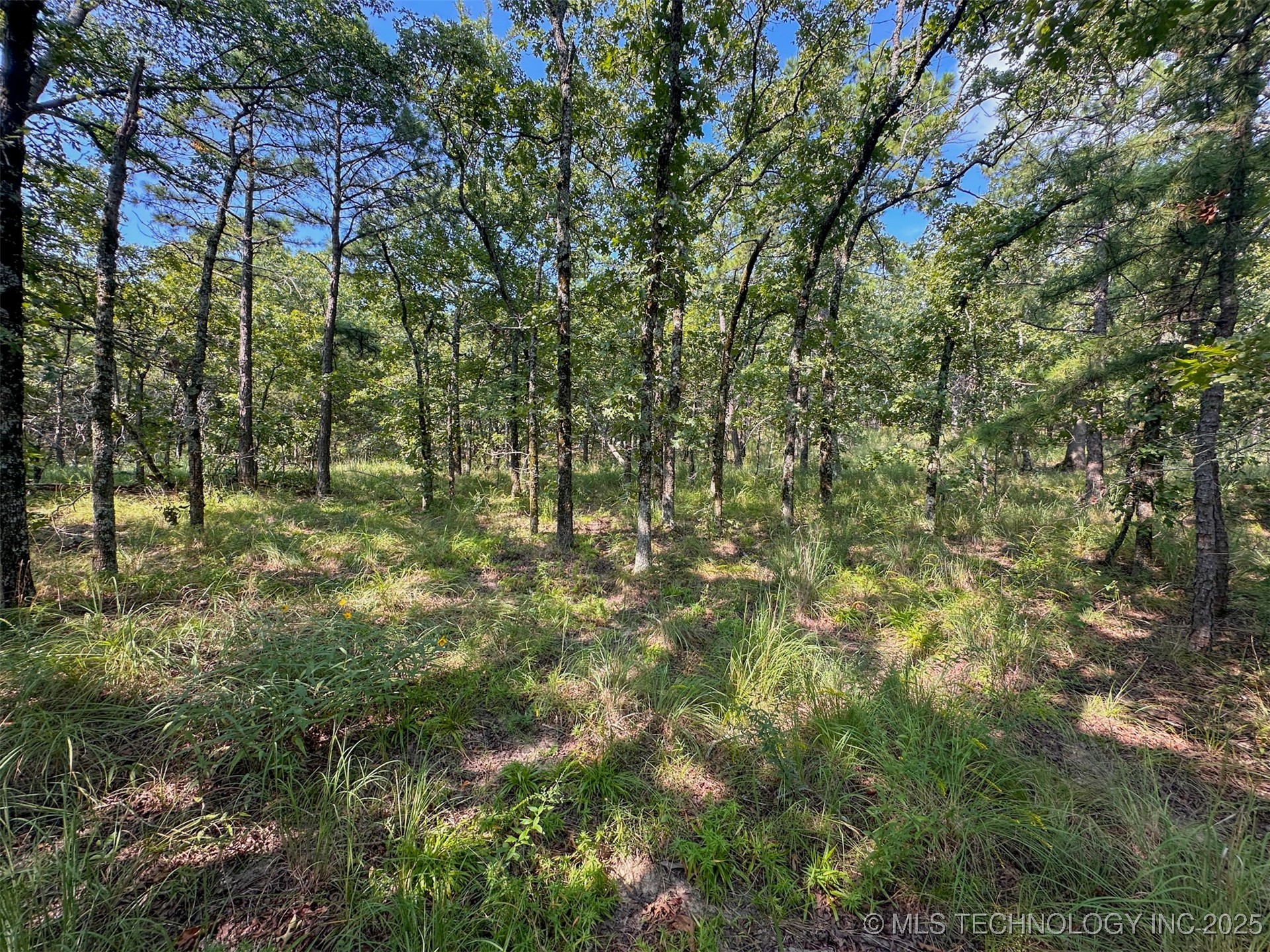 11 Moonshine Drive Clayton OK 74536