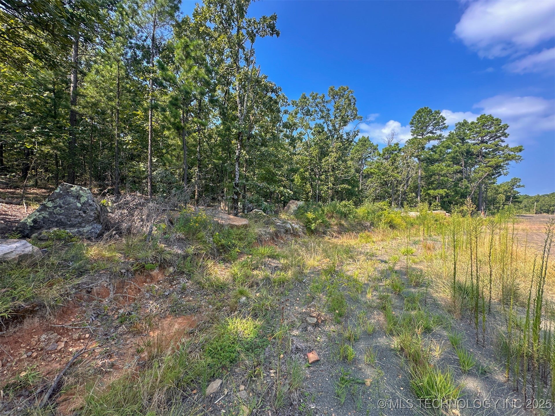 11 Moonshine Drive Clayton OK 74536
