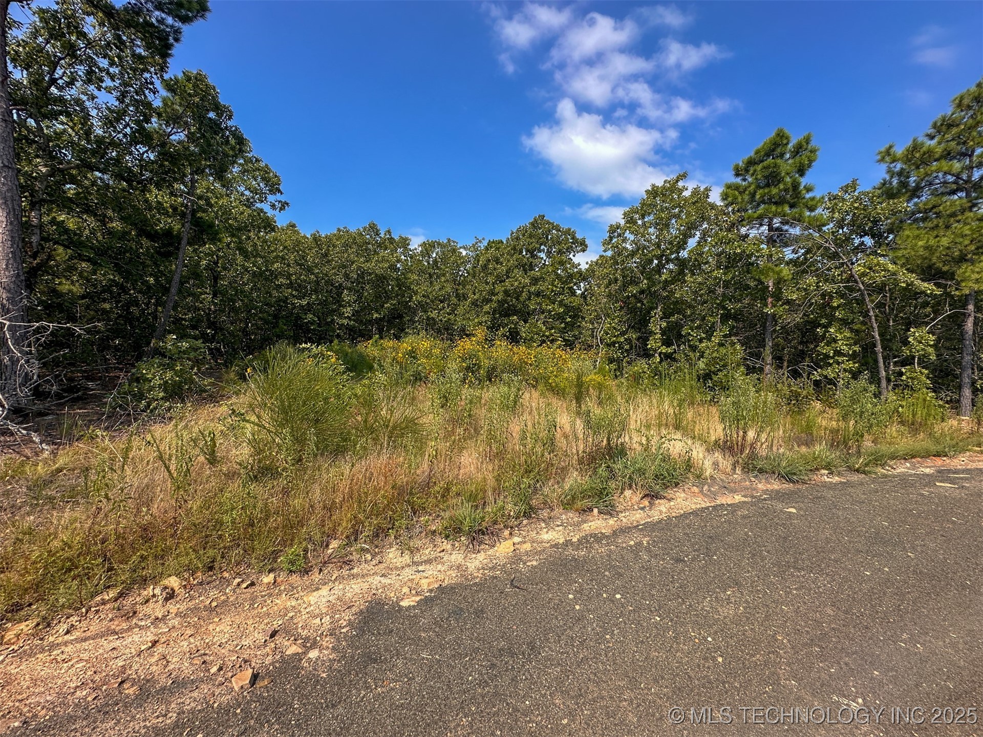 11 Moonshine Drive Clayton OK 74536