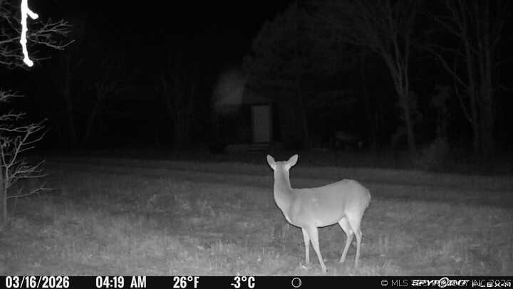 793 NW 187th Road Wilburton OK 74578