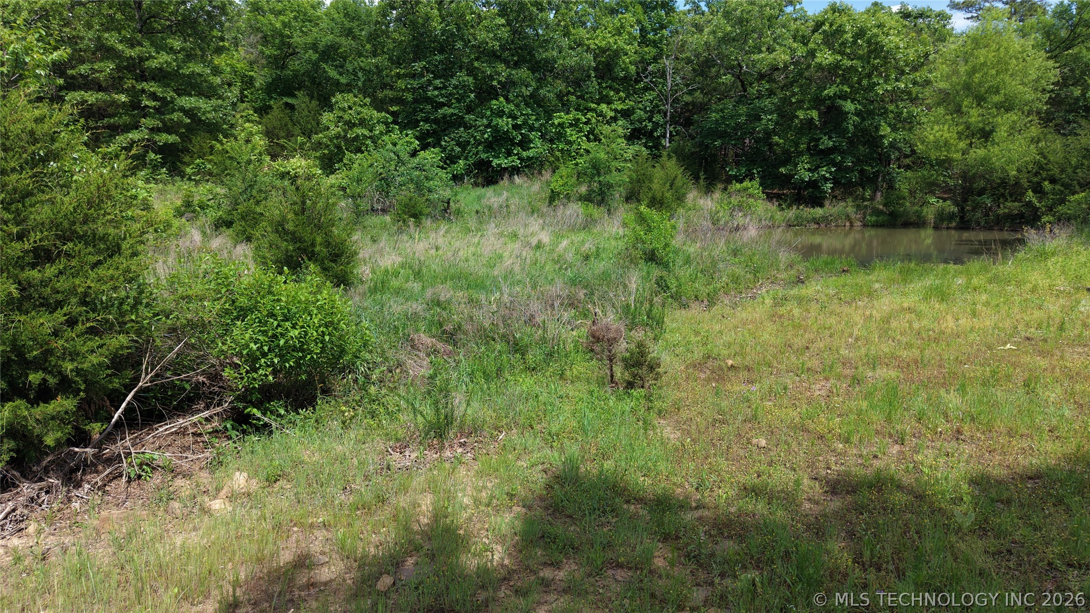 Bengal Wilburton OK 74559