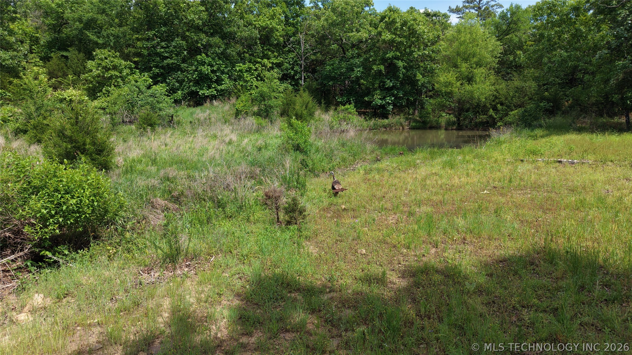 Bengal Wilburton OK 74559