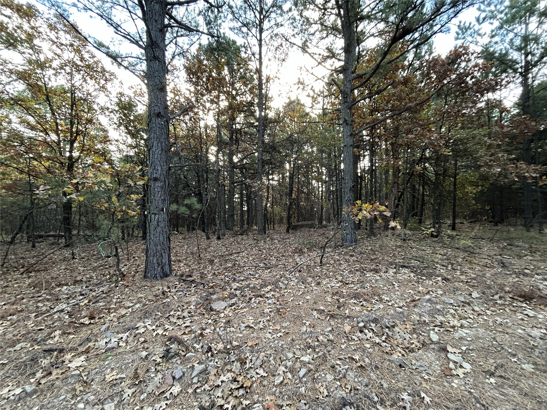 9915 SE Highway 2 Wilburton OK 74578