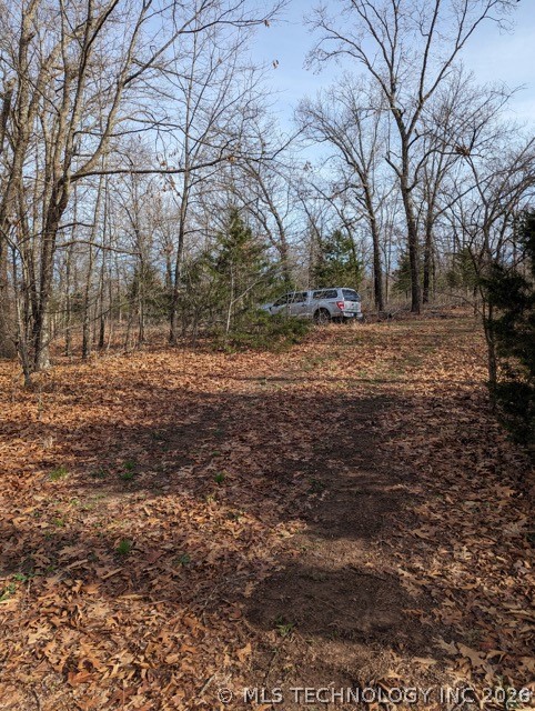 4550 Road Vian OK 74962