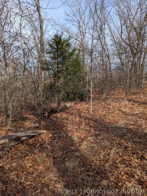 4550 Road Vian OK 74962