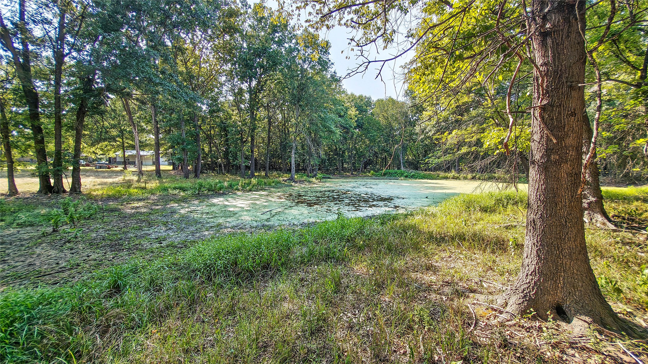 Lynn Lane Eufaula OK 74432