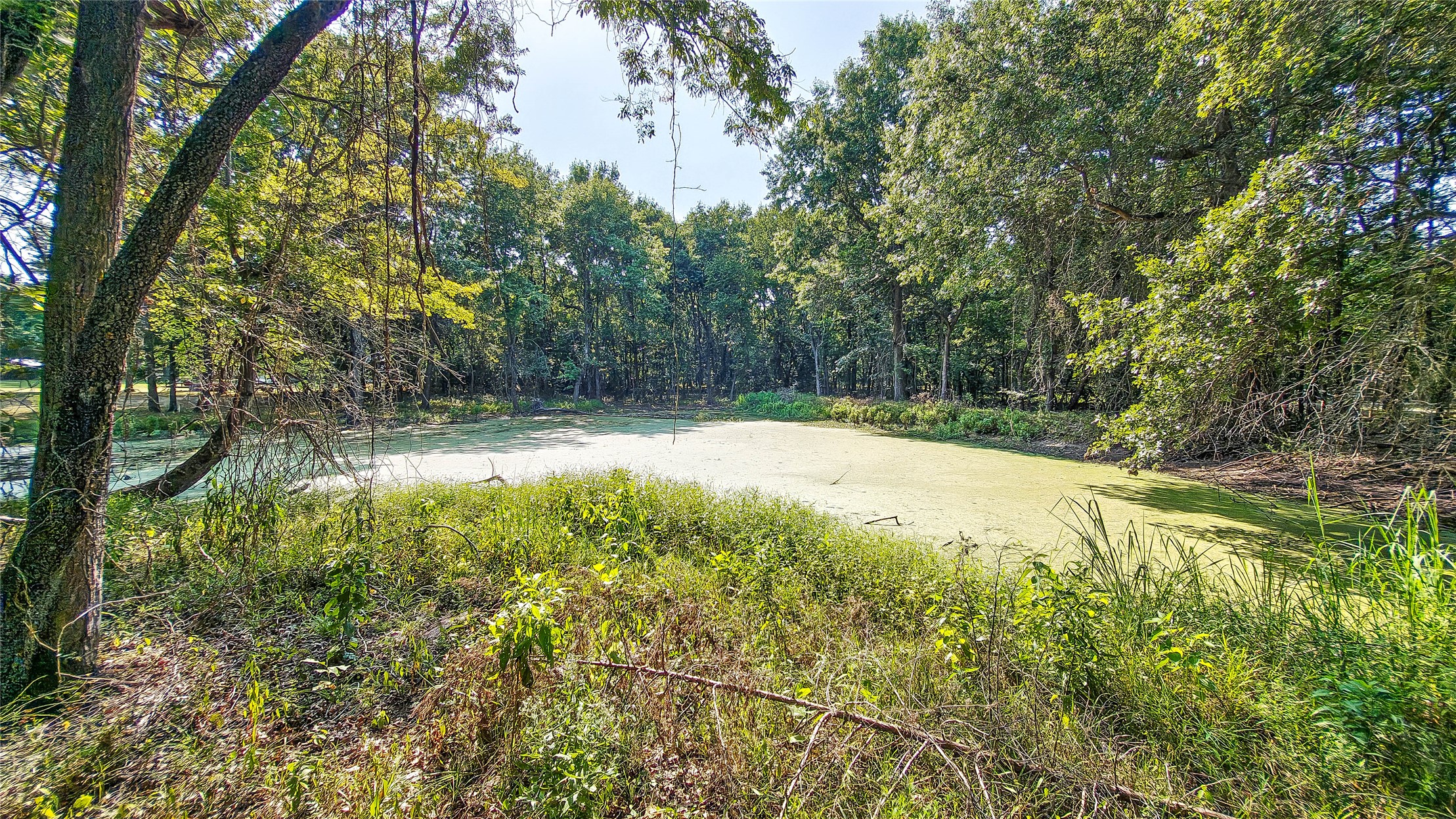 Lynn Lane Eufaula OK 74432