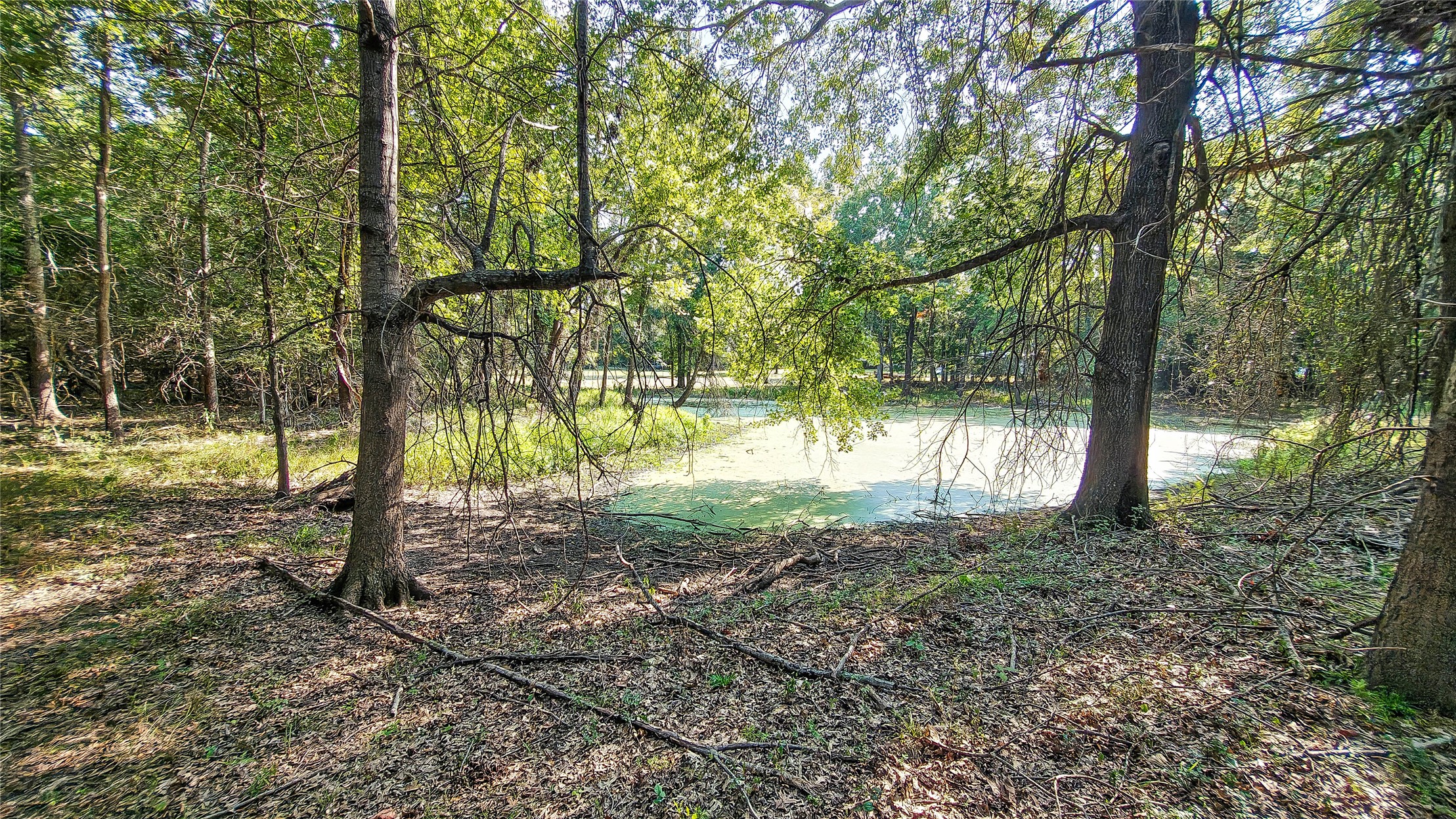 Lynn Lane Eufaula OK 74432