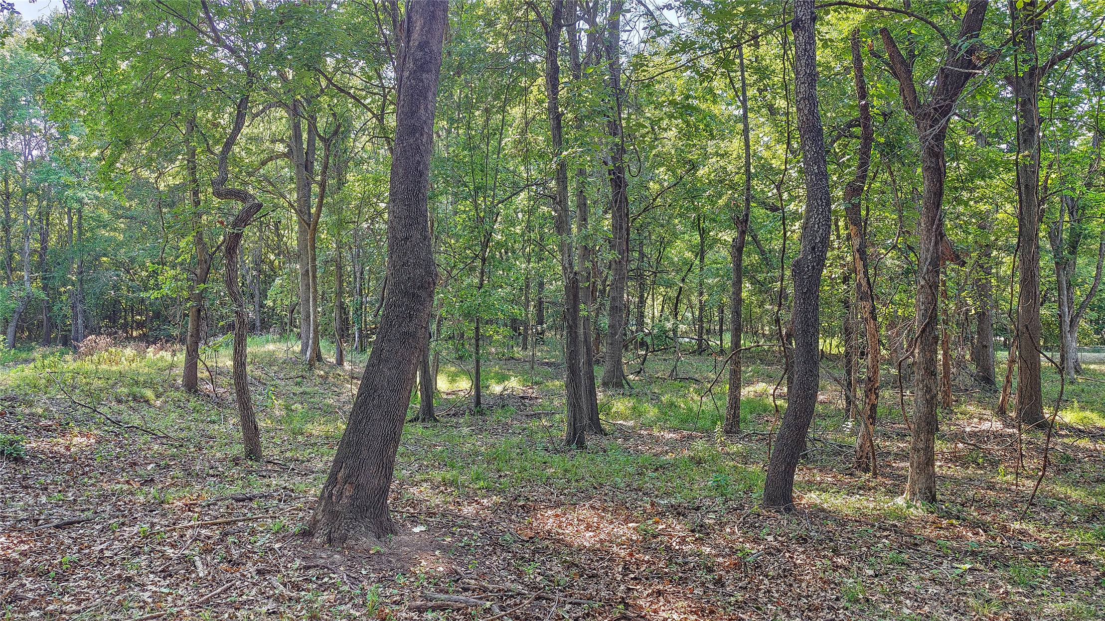 Lynn Lane Eufaula OK 74432