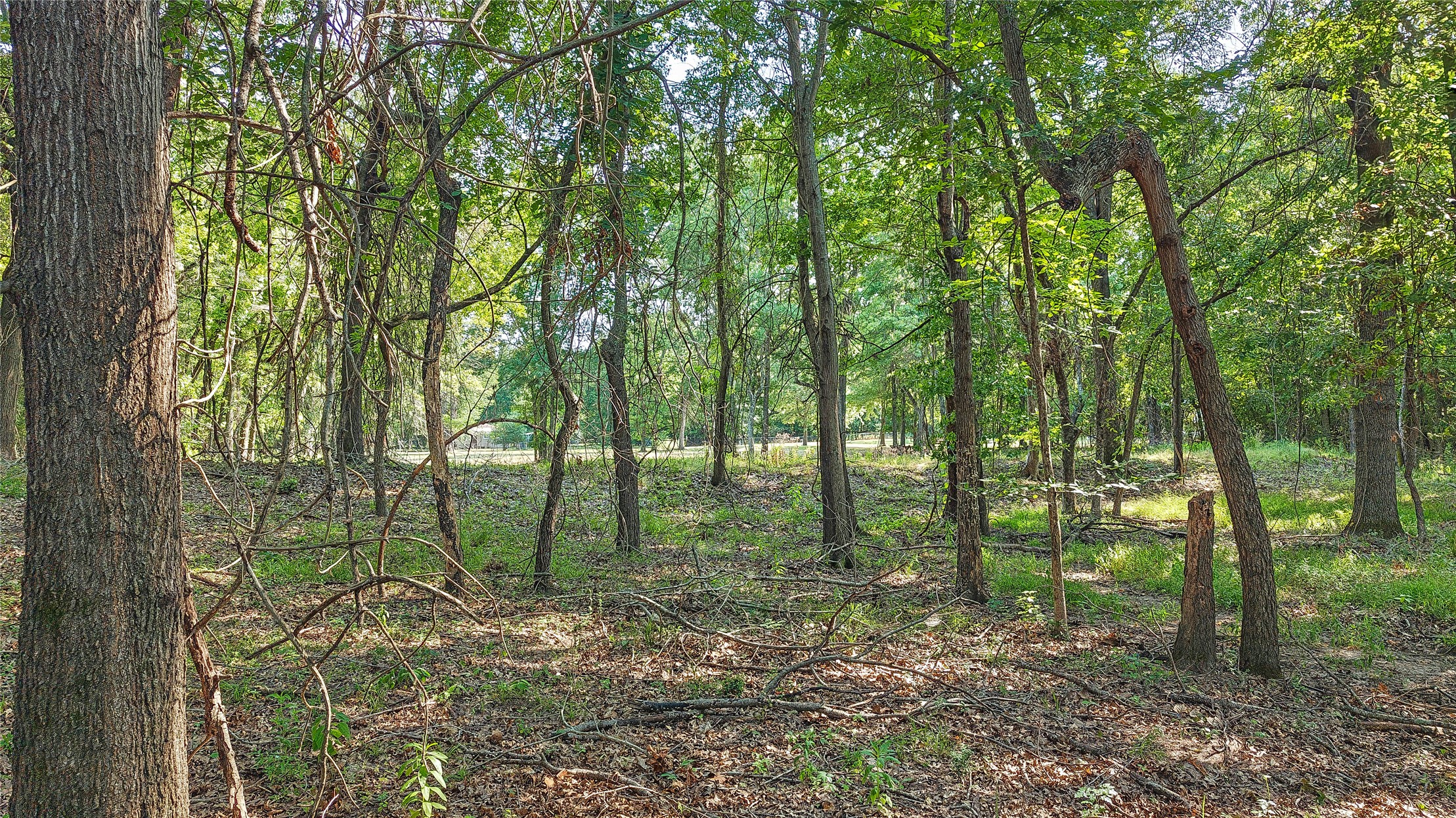 Lynn Lane Eufaula OK 74432