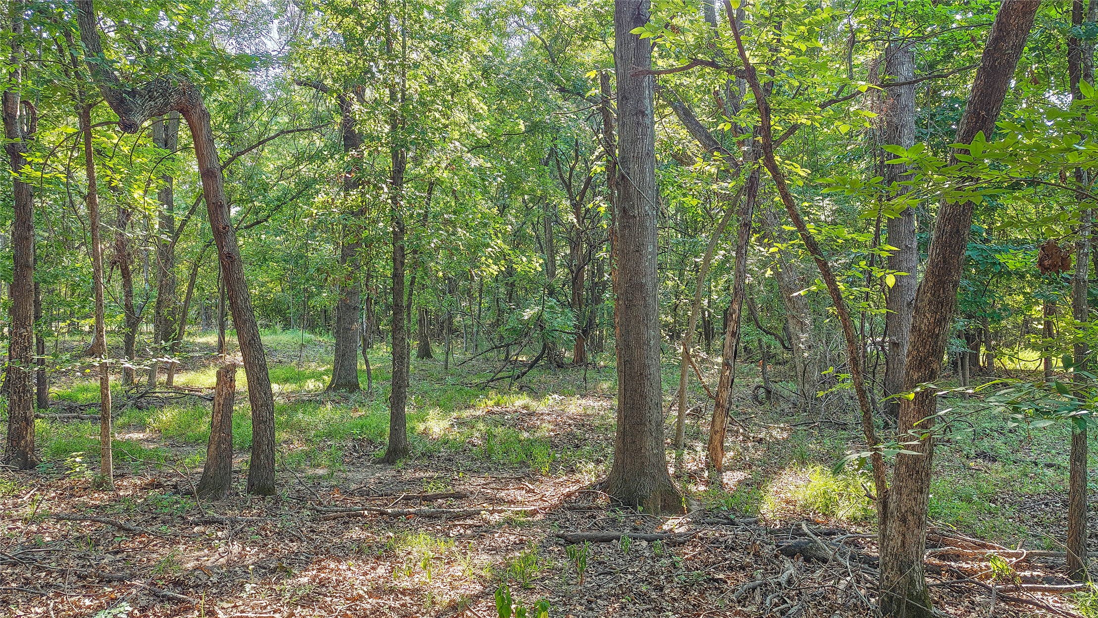 Lynn Lane Eufaula OK 74432
