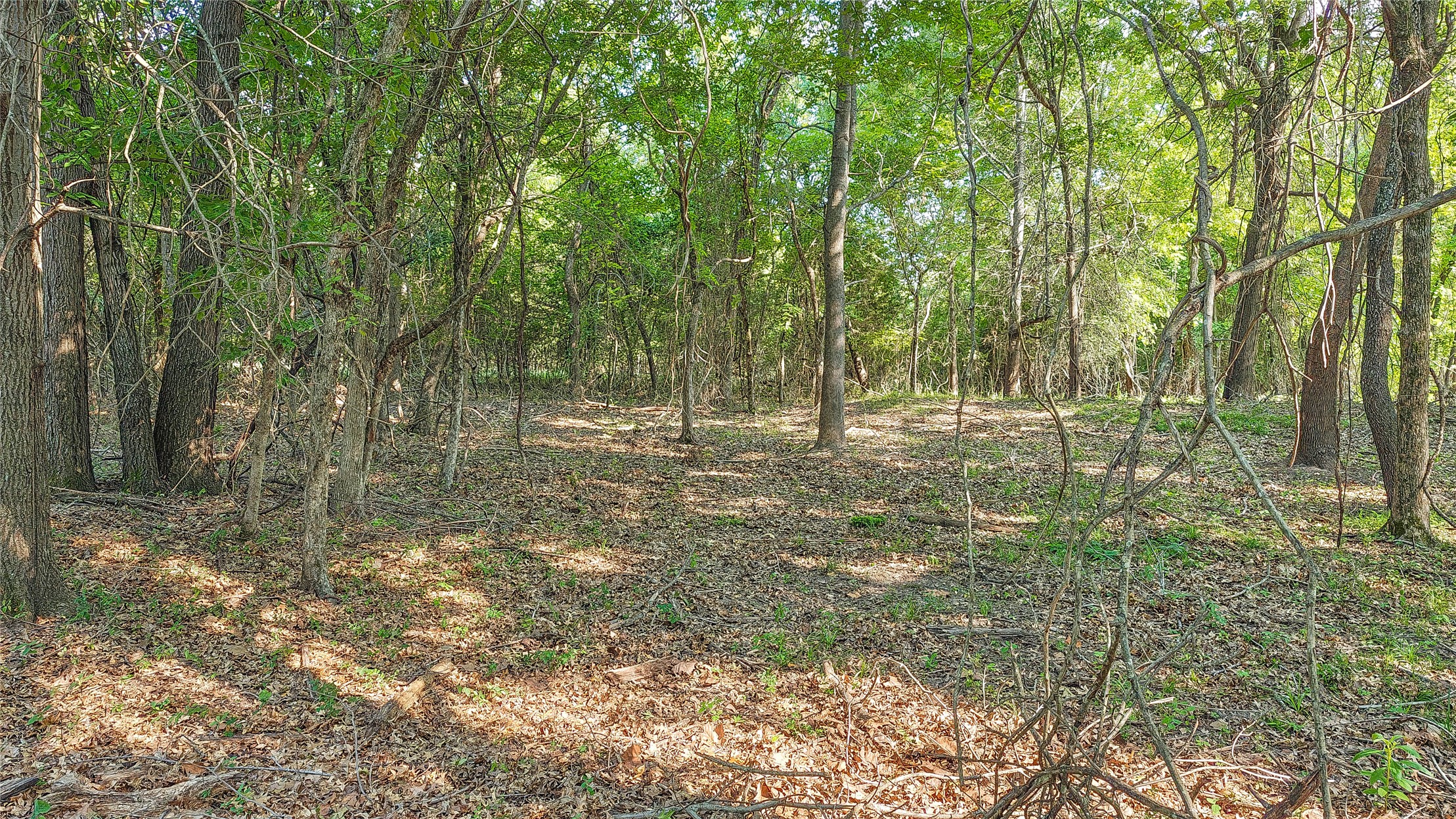 Lynn Lane Eufaula OK 74432
