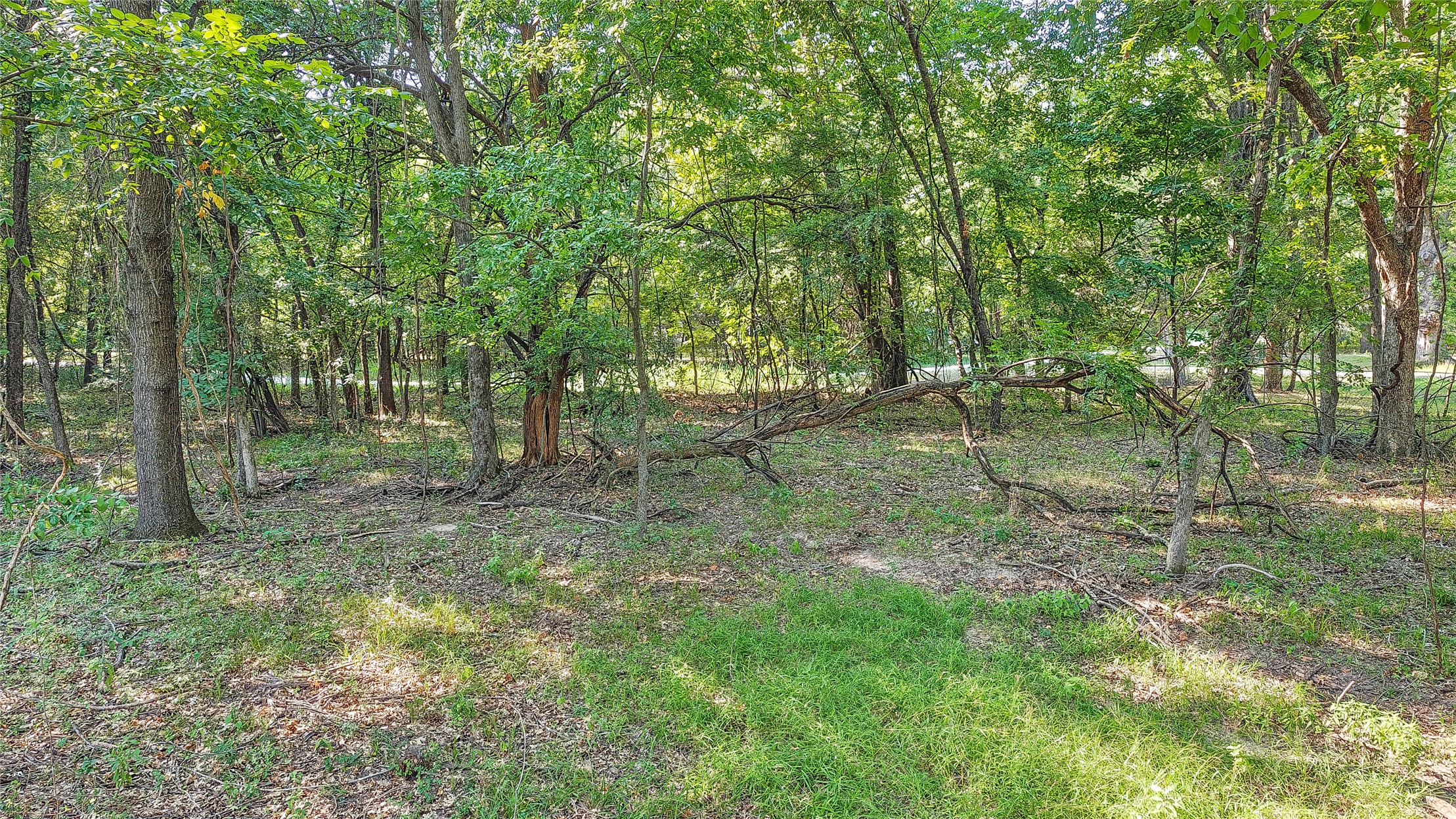 Lynn Lane Eufaula OK 74432