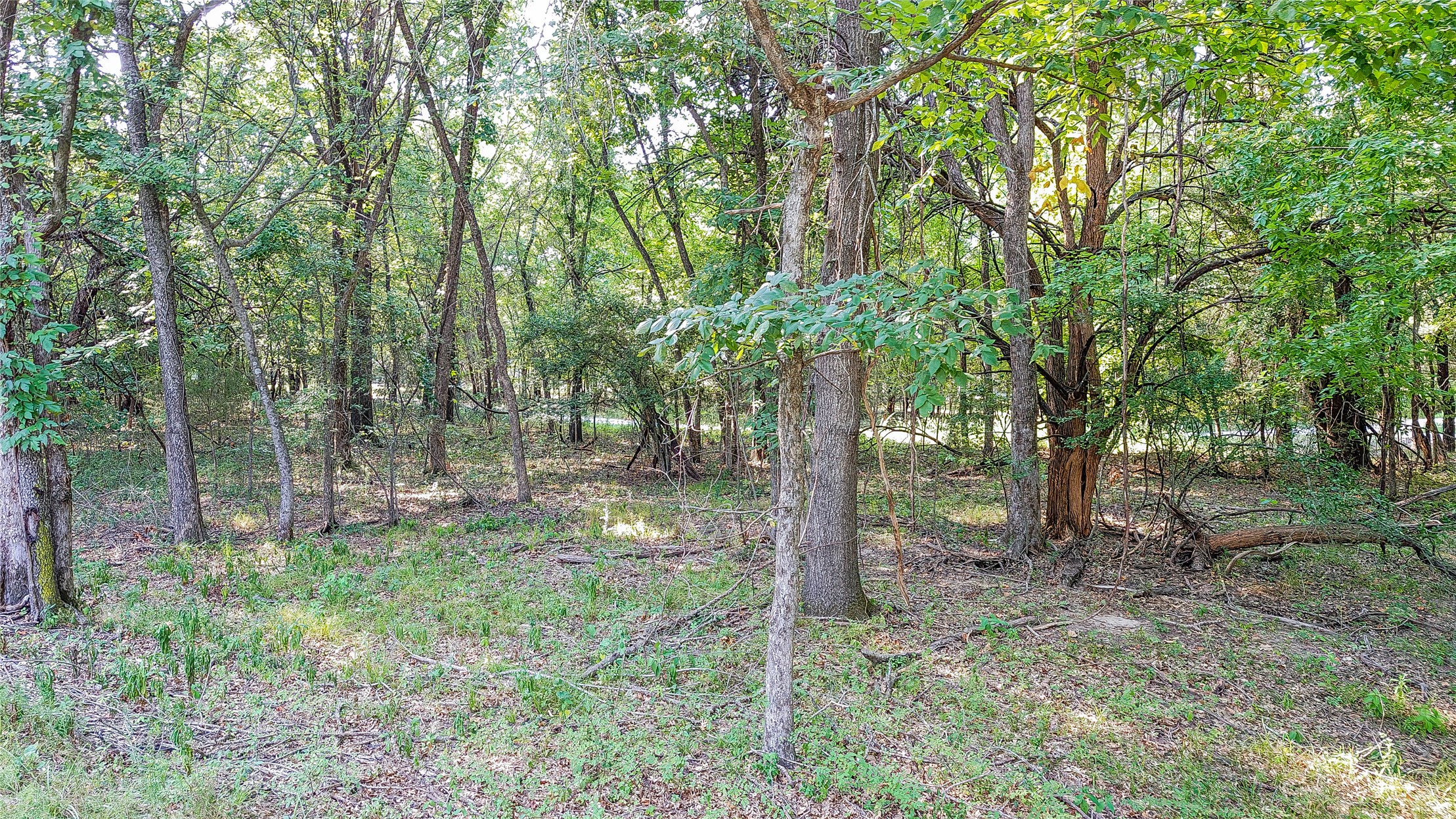 Lynn Lane Eufaula OK 74432