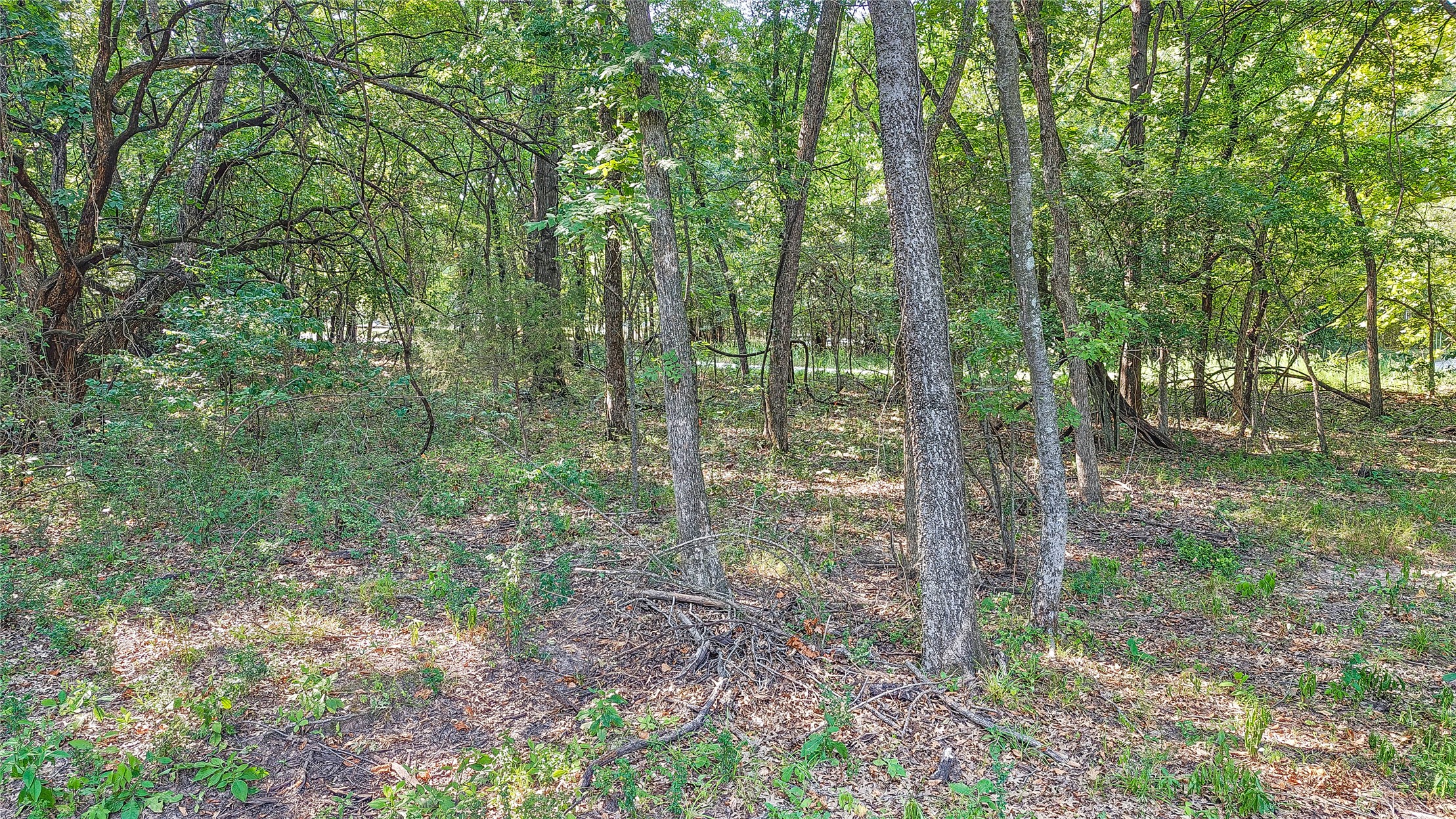 Lynn Lane Eufaula OK 74432