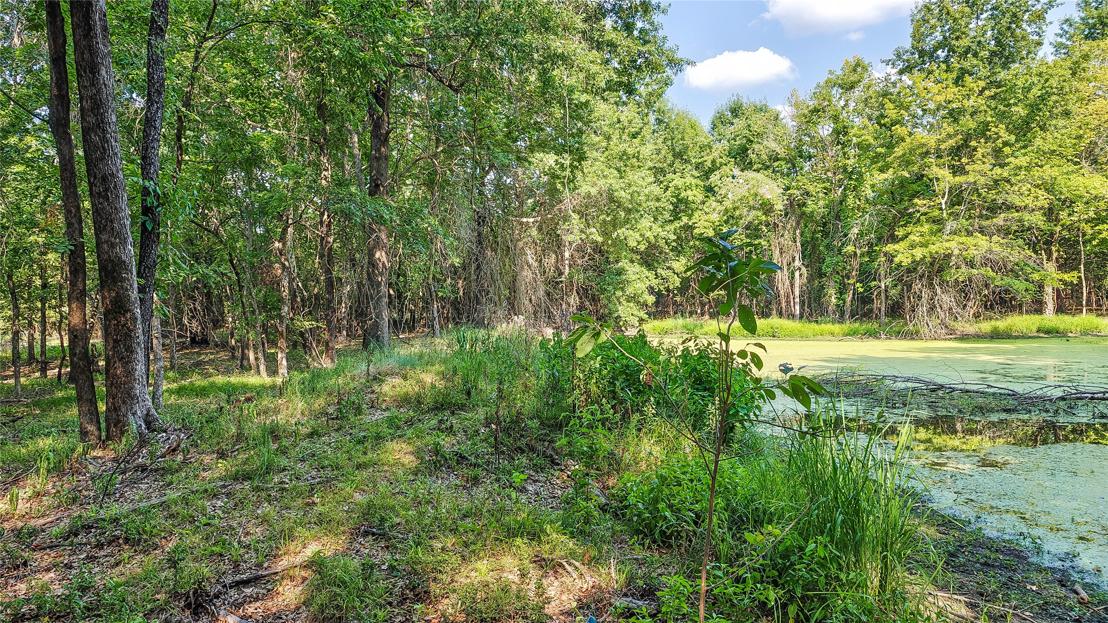 Lynn Lane Eufaula OK 74432