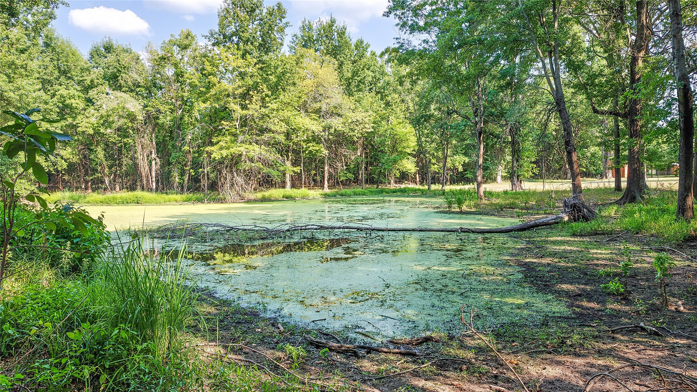 Lynn Lane Eufaula OK 74432