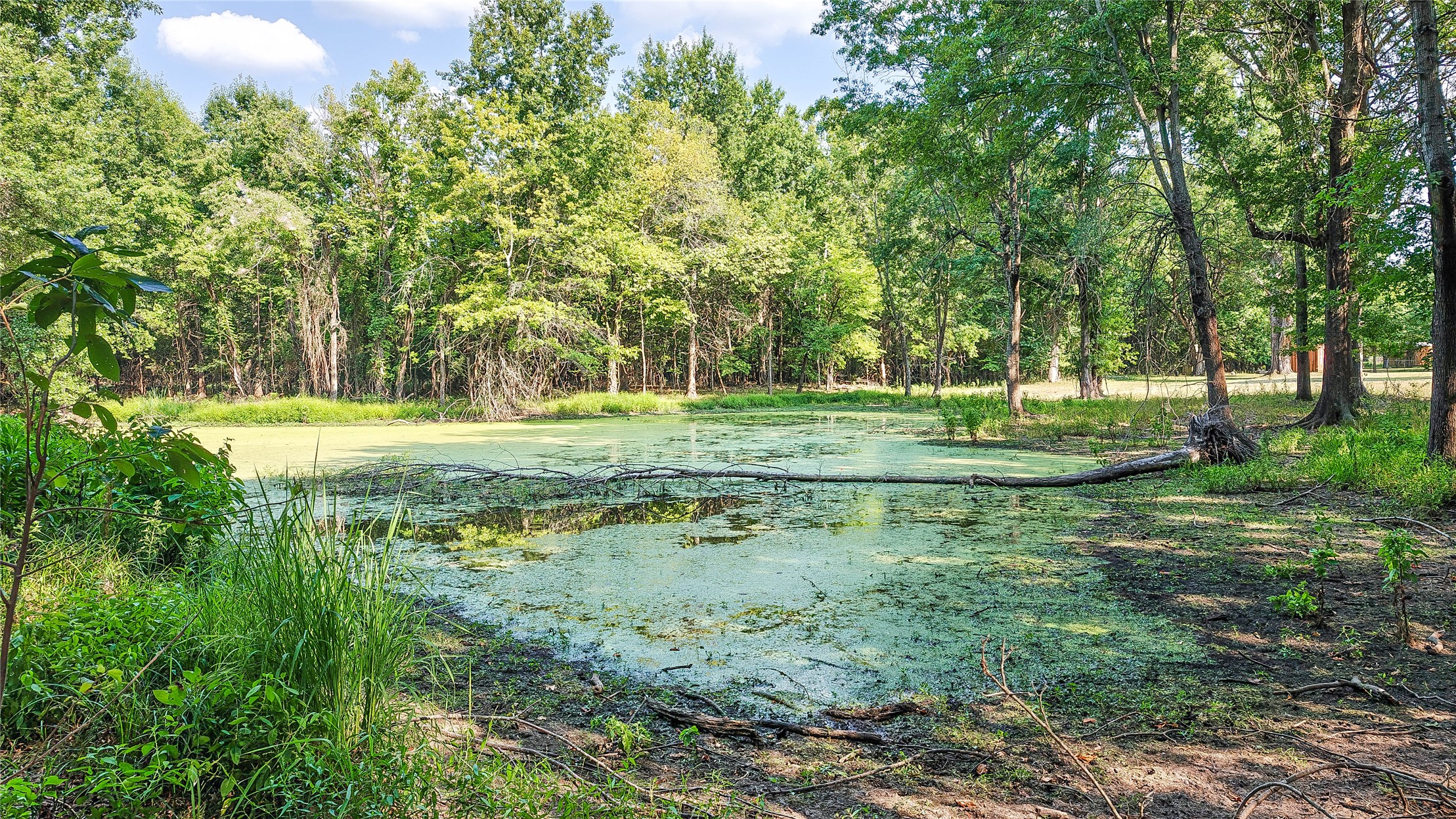 Lynn Lane Eufaula OK 74432
