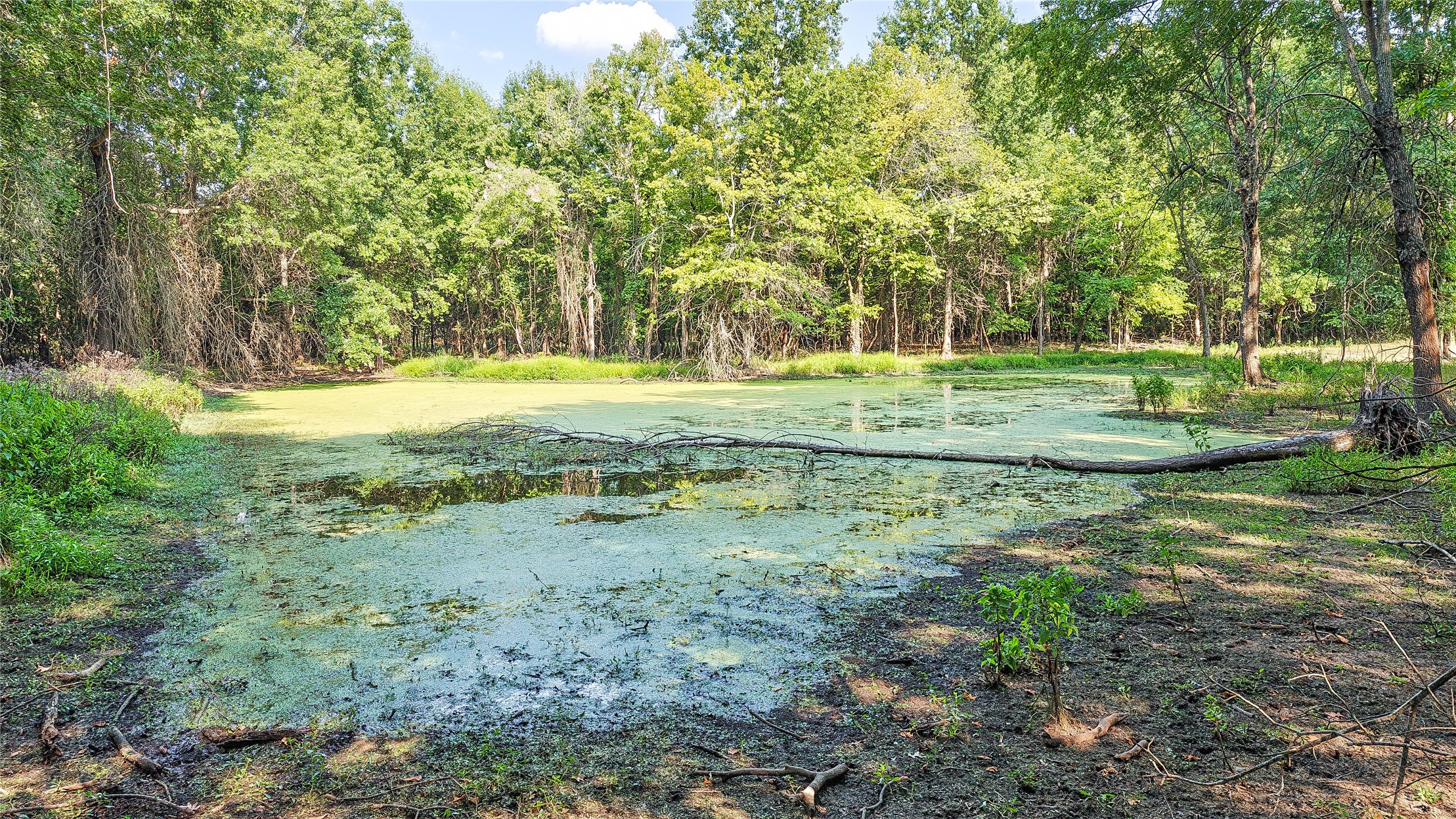 Lynn Lane Eufaula OK 74432