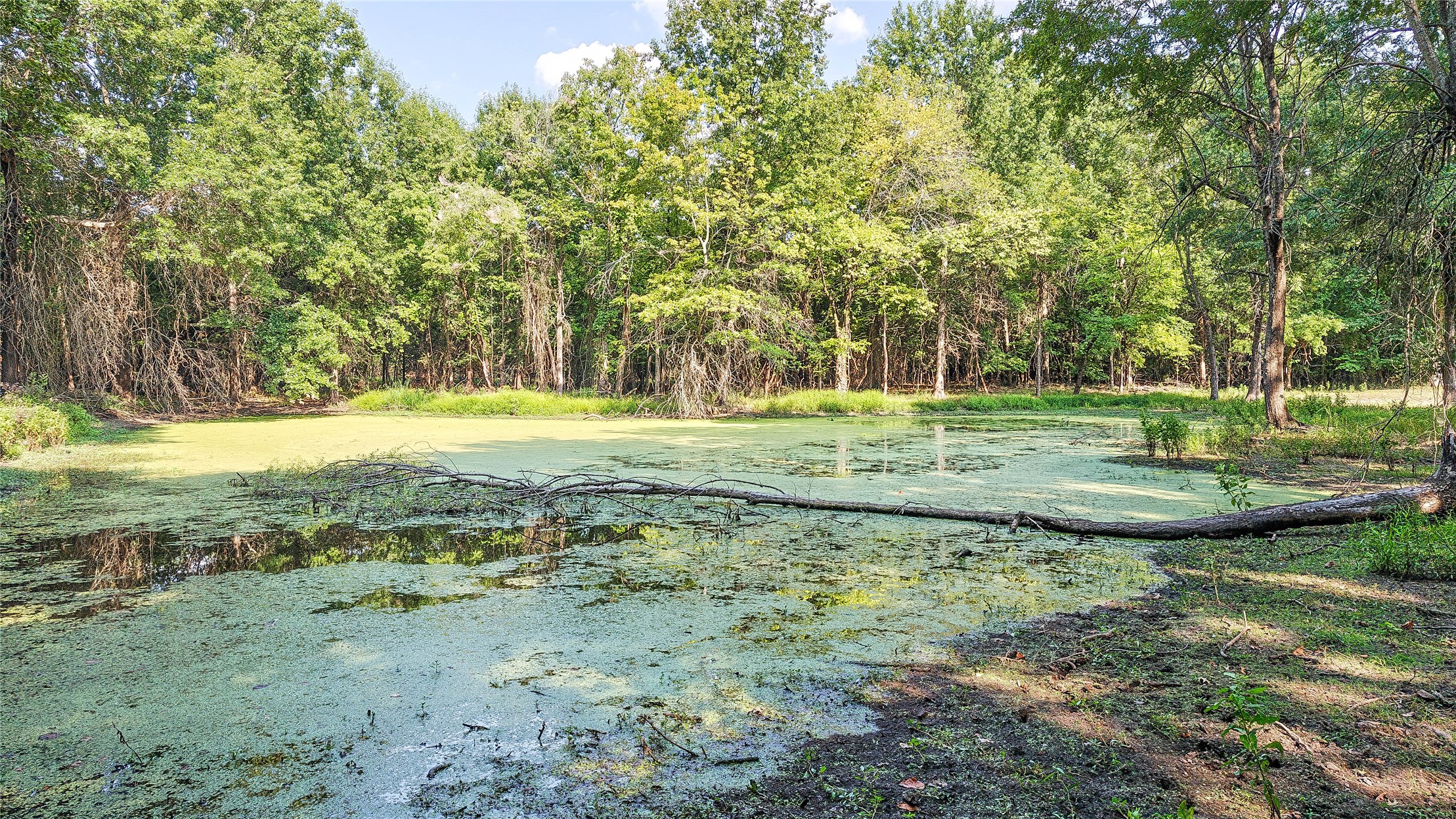 Lynn Lane Eufaula OK 74432