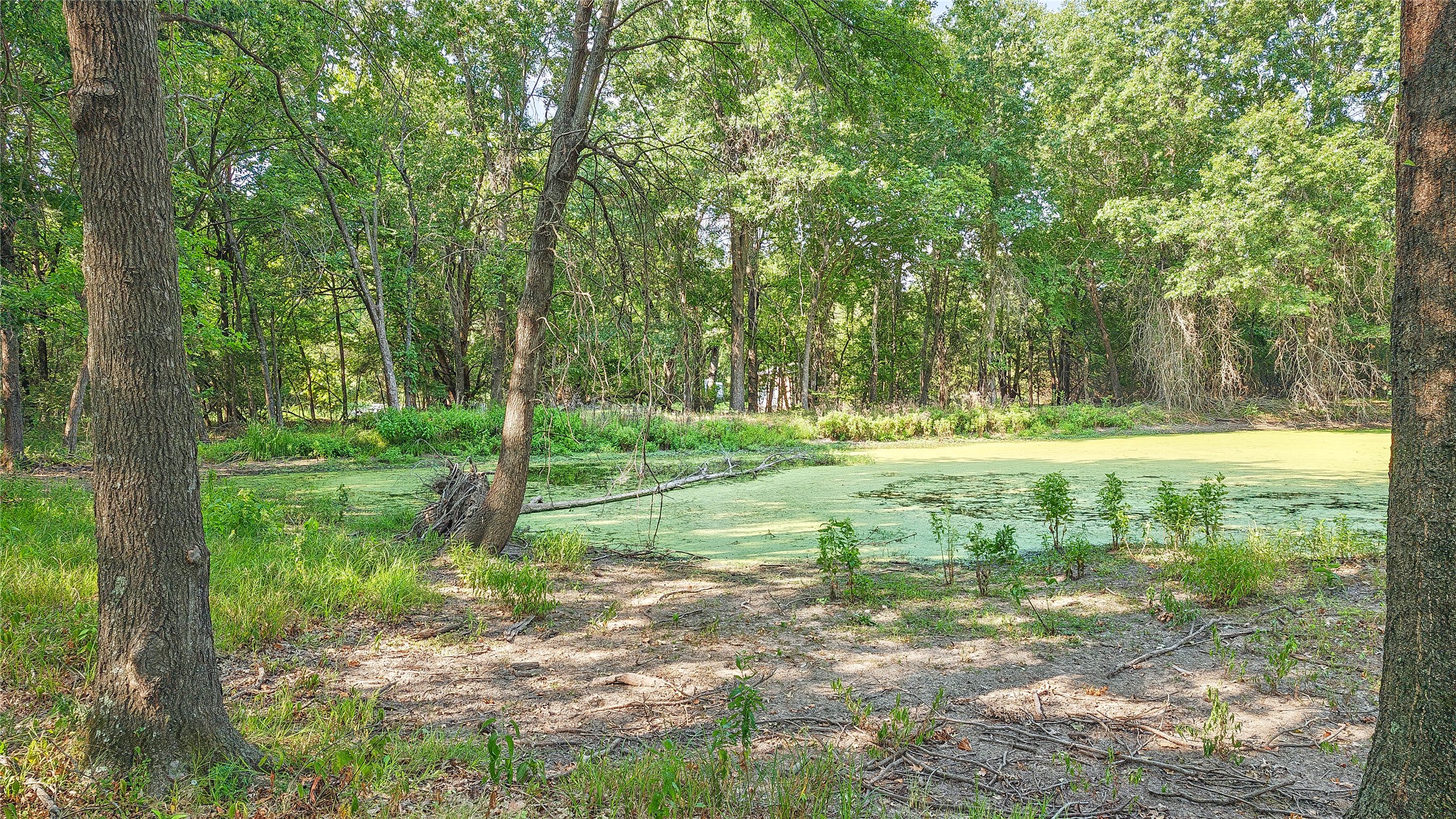 Lynn Lane Eufaula OK 74432