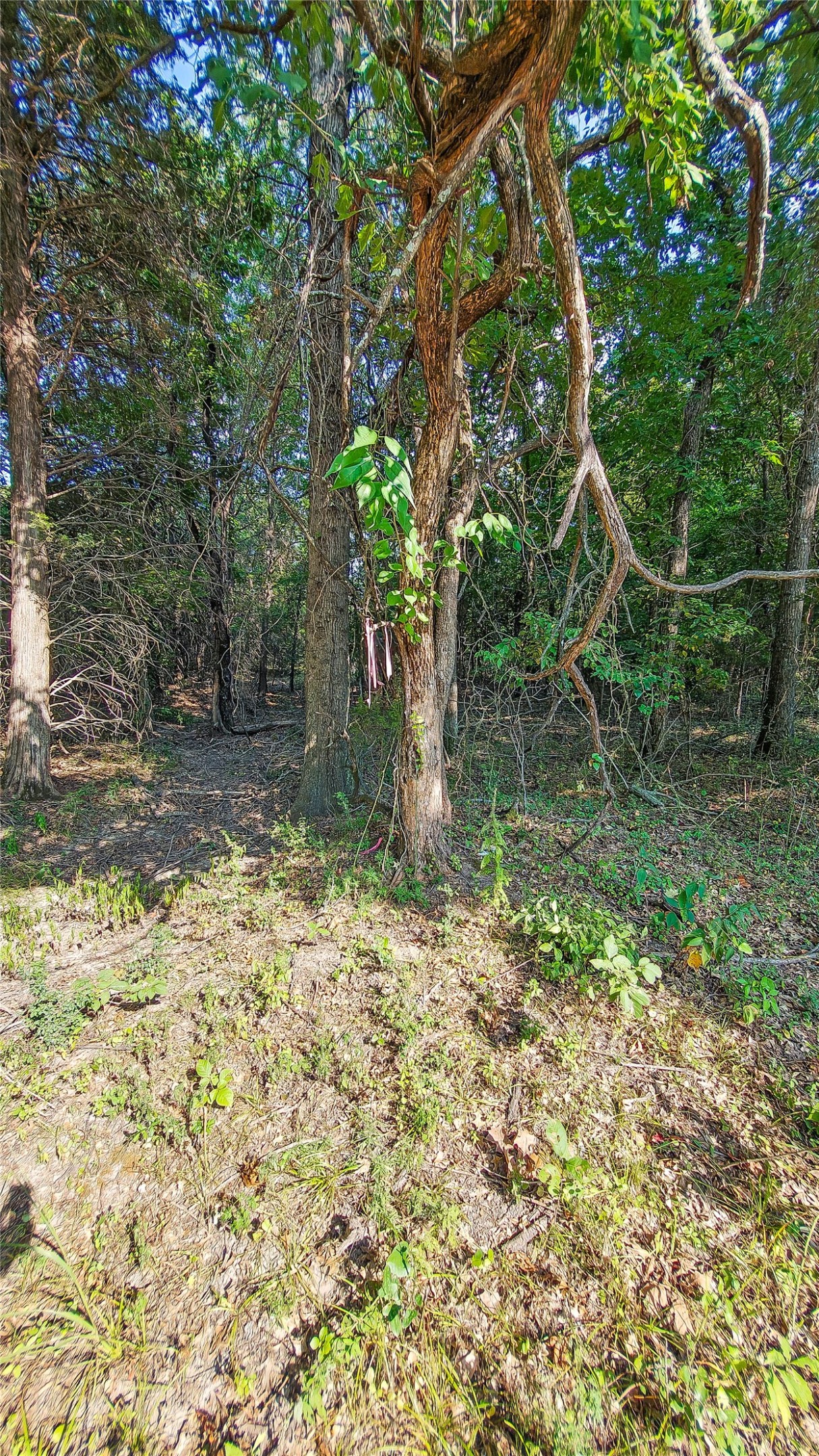 Lynn Lane Eufaula OK 74432