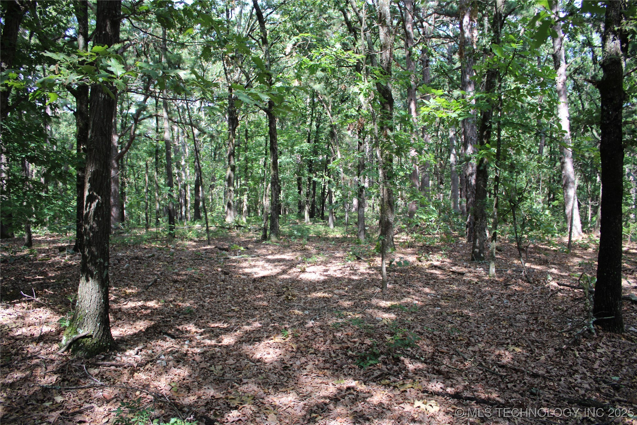 586 Highway 59 Jay OK 74346